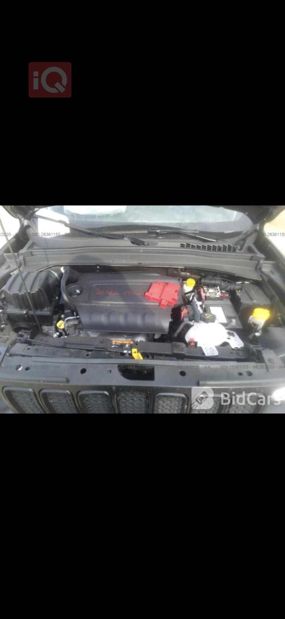 جيب رينيجيد